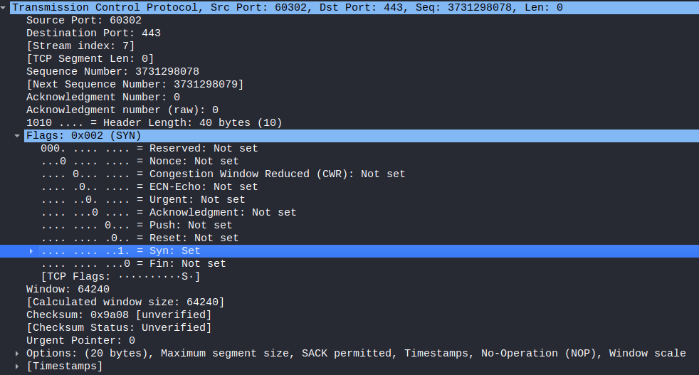 SYN Screenshot {caption=SYN packet contents}